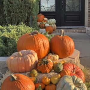 Close up of pumpkins on a hay bale