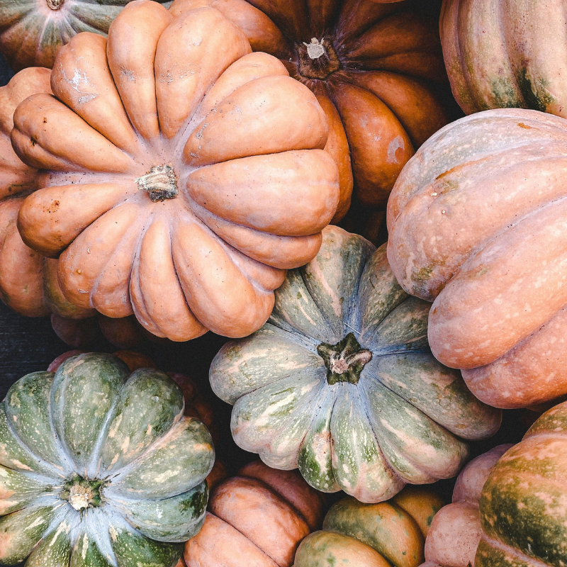 close up of small pumpkins light orange with some light green